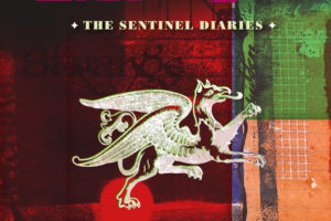 Remain In Light - The Sentinel Diaries